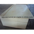 AAA Grade Birch Plywood for American Market